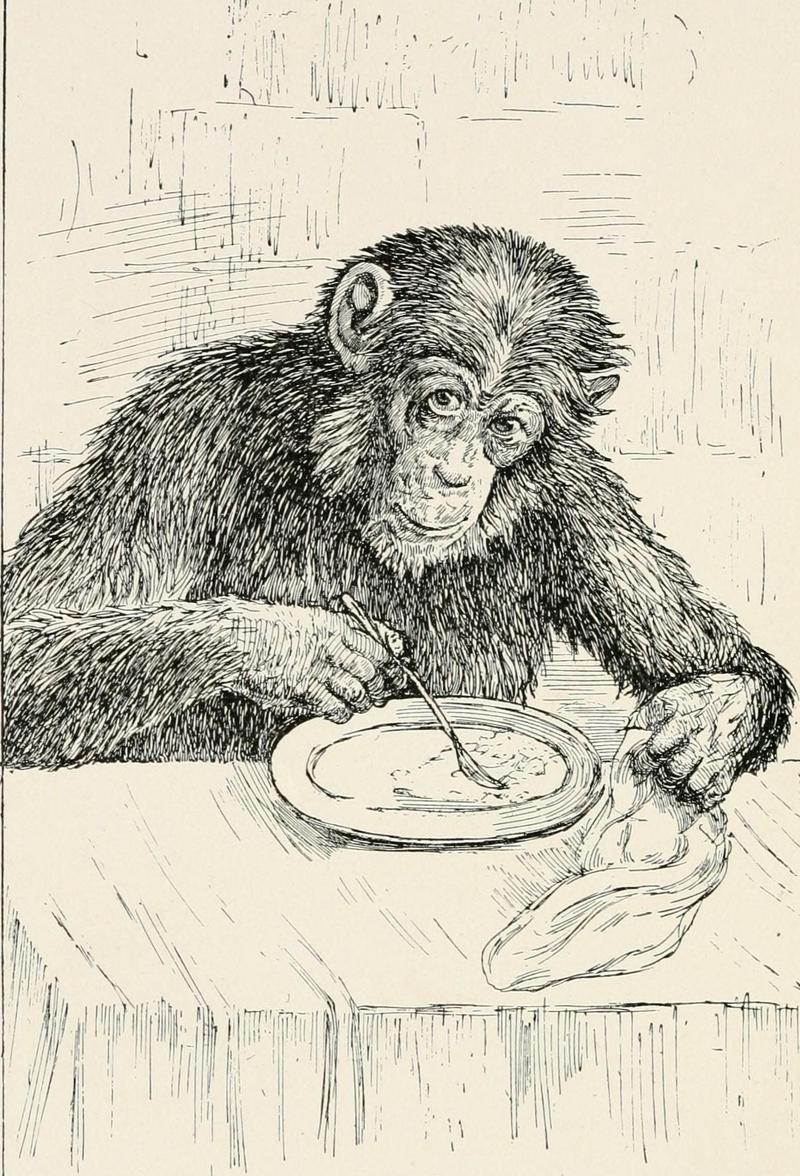 Ilustration of chimpanzee with fork and plate.jpg