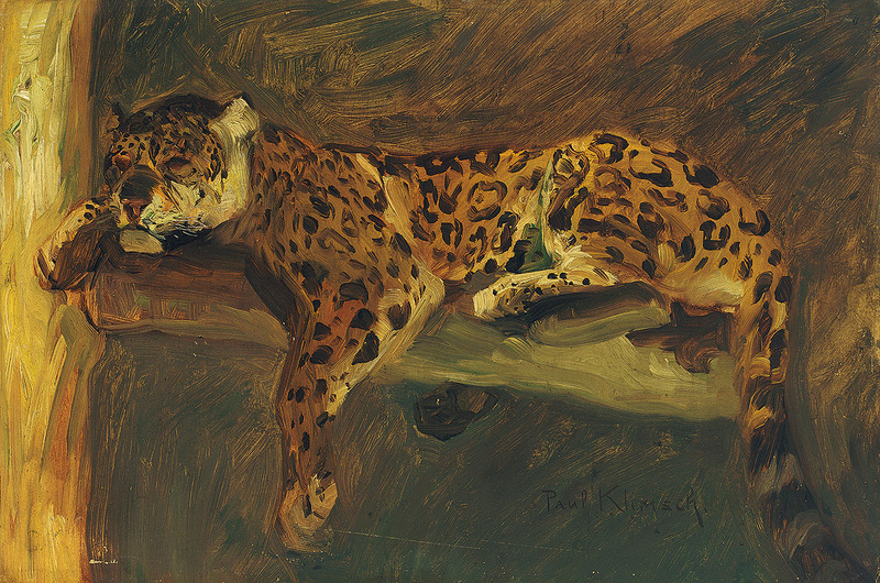 Paul Klimsch Schlafender Jaguar.jpg