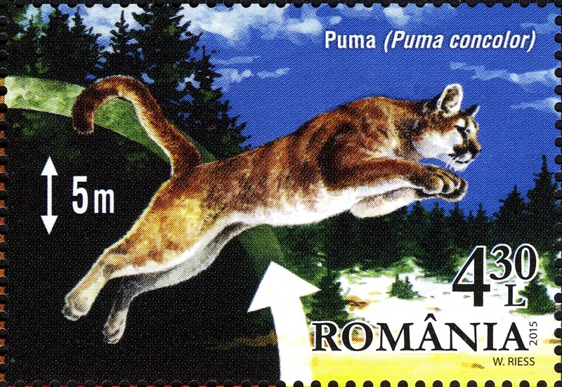 Stamps of Romania, 2015-002.jpg