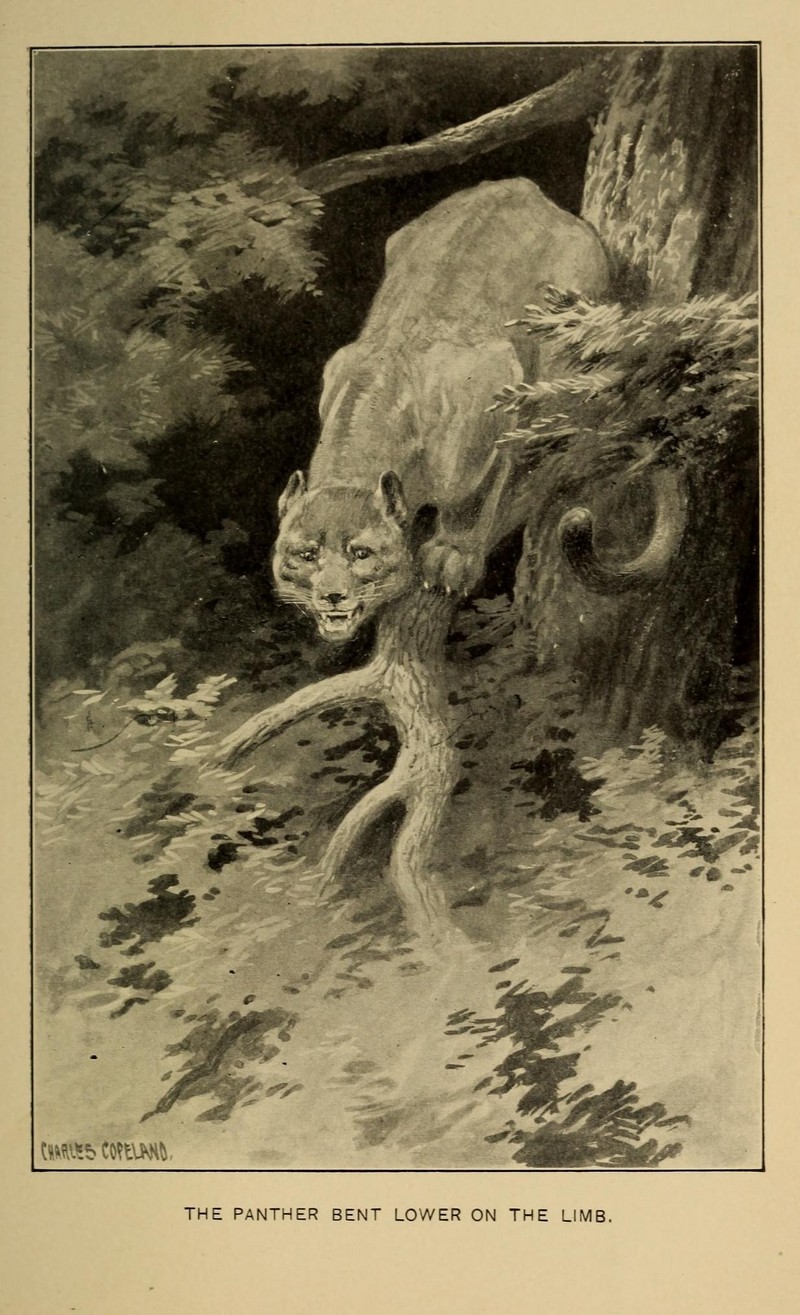 Stories of the good green wood (Plate 7) (7261626576).jpg