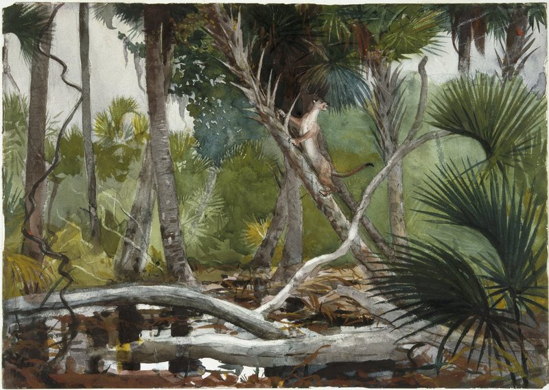 Brooklyn Museum - In the Jungle, Florida - Winslow Homer - overall.jpg