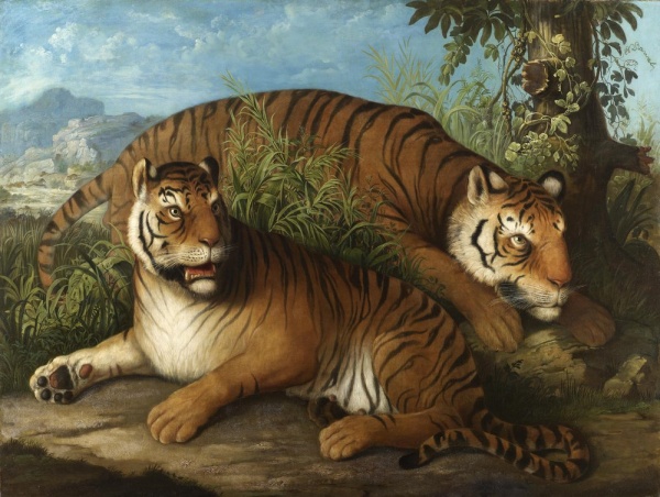 Johann Wenzel Peter - Royal Bengal Tigers.jpg