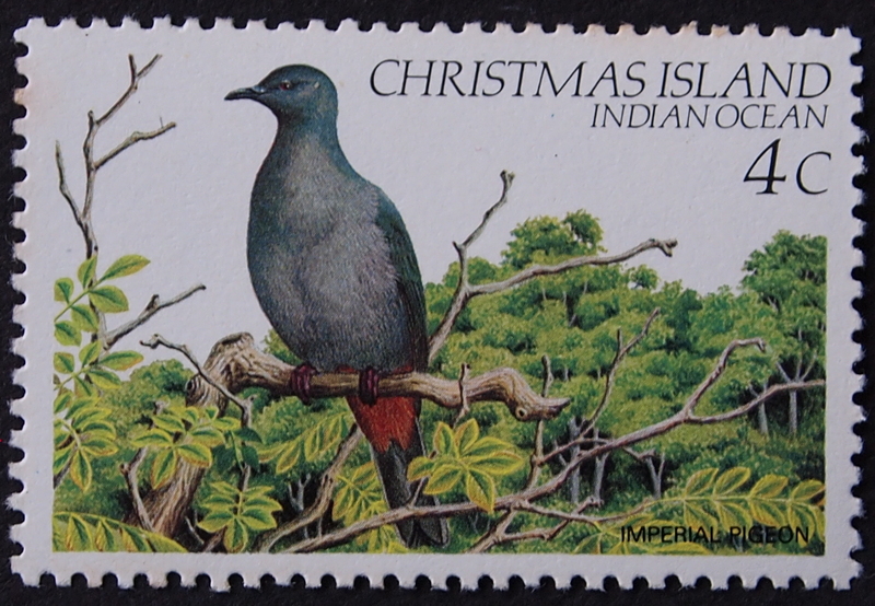 Christmas Island Imperial Pigeon - Ducula whartoni - Stamp.jpg