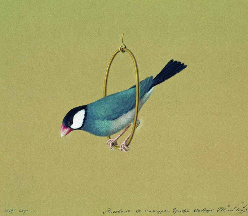 Птичка в кольце. 1819.jpg