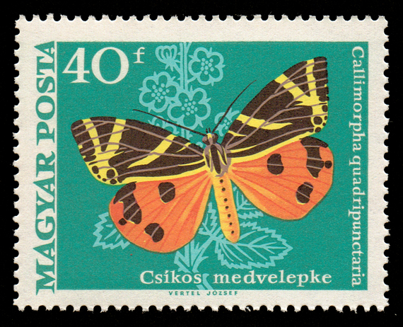 1966 Moth Butterfly 40.jpg