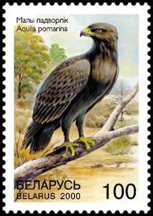 2000. Stamp of Belarus 0372.jpg