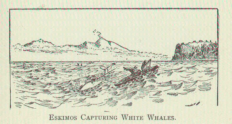 FMIB 44650 Eskimos Capturing White Whales.jpeg