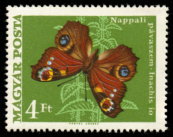 1973 Moth Butterfly 400.jpg