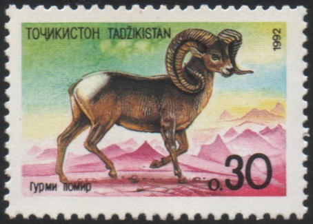 Stamps of Tajikistan, 1992-4.jpg