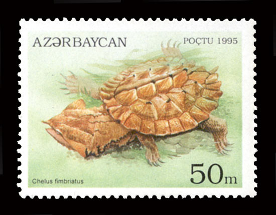 Stamp of Azerbaijan 322.jpg