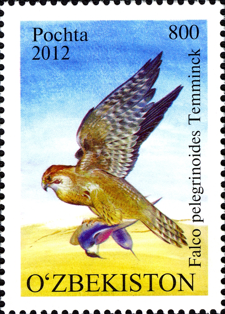 Stamps of Uzbekistan, 2012-30.jpg