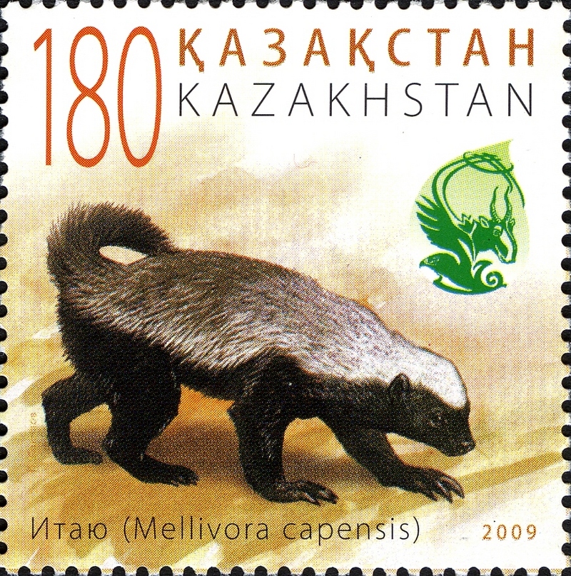 Stamps of Kazakhstan, 2009-23.jpg