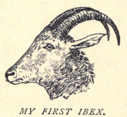 Douglas Hamilton, His First Ibex . . . 120.jpg
