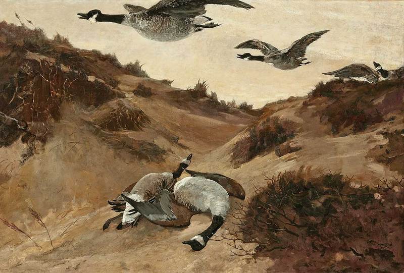 Winslow Homer - Wild Geese in Flight.jpg