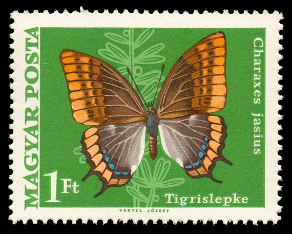 1969 Moth Butterfly 100.jpg