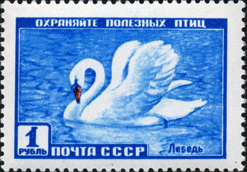 The Soviet Union 1959 CPA 2330 stamp (Mute Swan).jpg