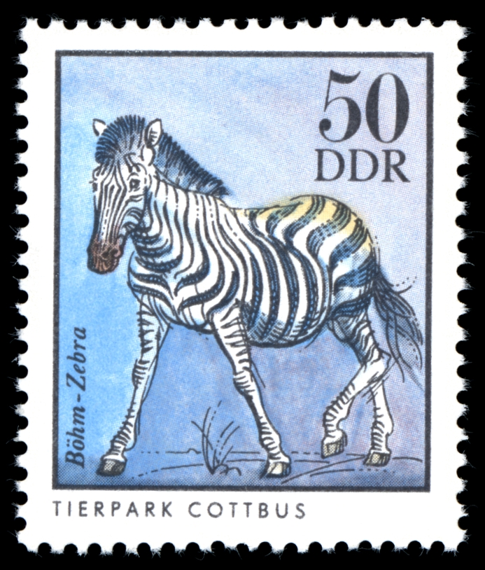 Stamps of Germany (DDR) 1975, MiNr 2037.jpg