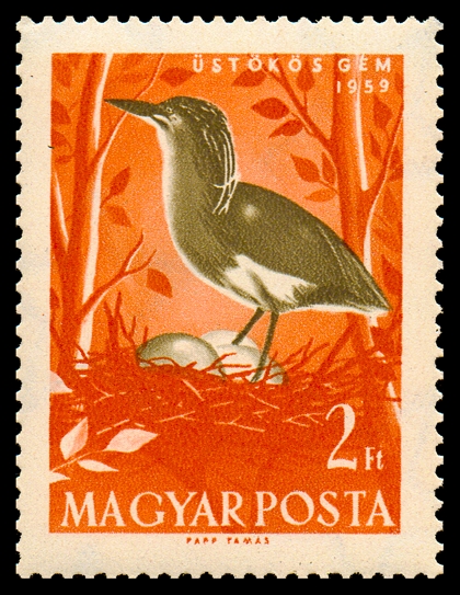1599 Birds 200.png