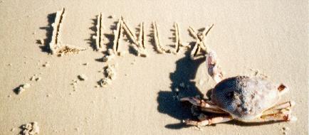 Crab-linux-beach.jpg