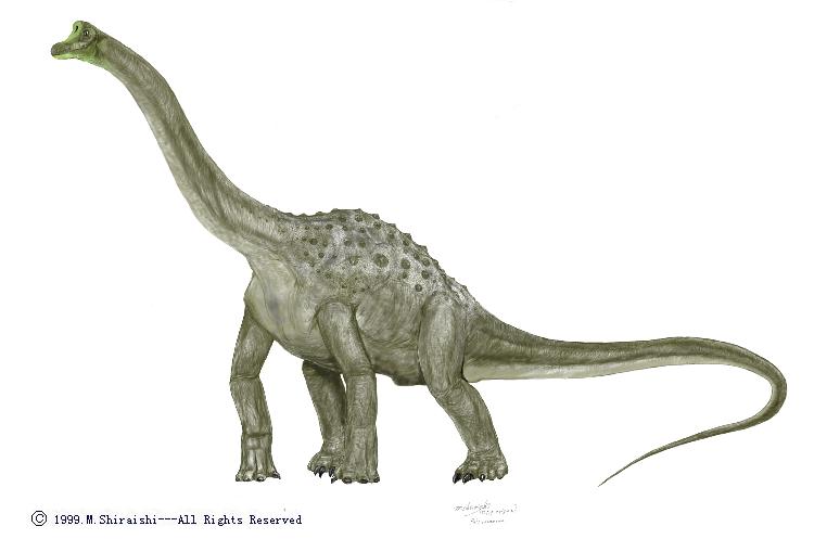 Pelorosaurus.jpg