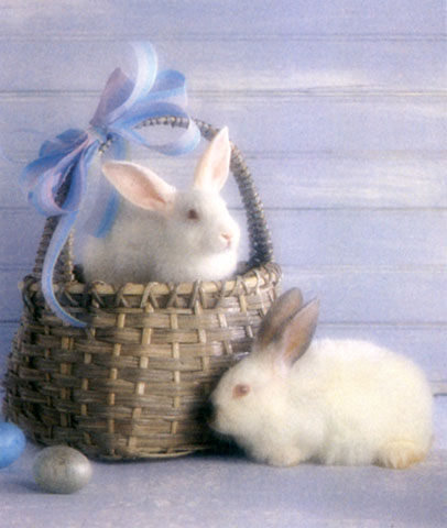 Bunny-Easter Basket-White Rabbits.jpg