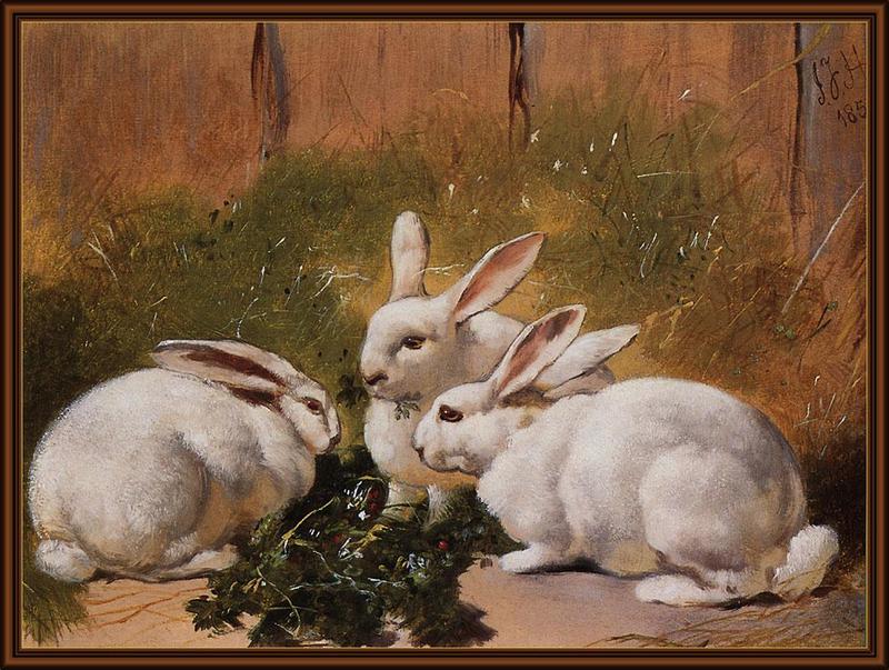 ksw-john frederick herring-three white rabbits-1851.jpg
