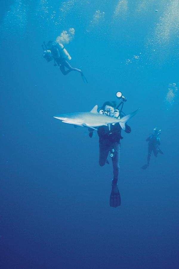 Shark Diver2-unidentifed.jpg