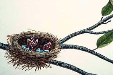 Bird Painting-American Robins-chicks begging in nest.jpg
