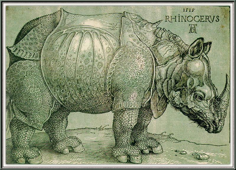 JannsenWm The Rhinoceros-sj.jpg