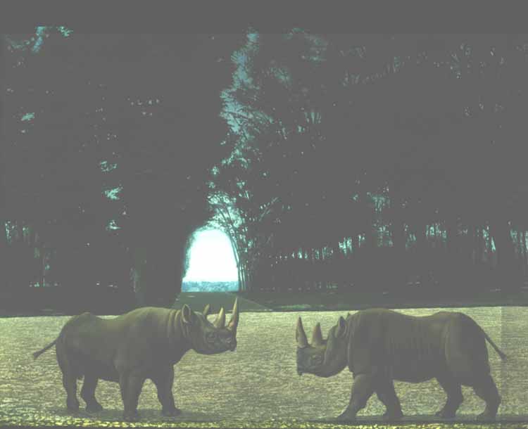 Painting-Carel Willink-Rhinoceroses-In The Park.jpg