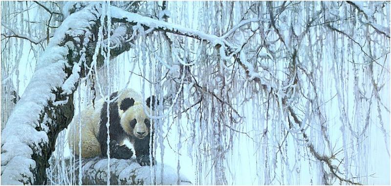 Bateman - Winter Filigree-Giant Panda 1995 zw.jpg