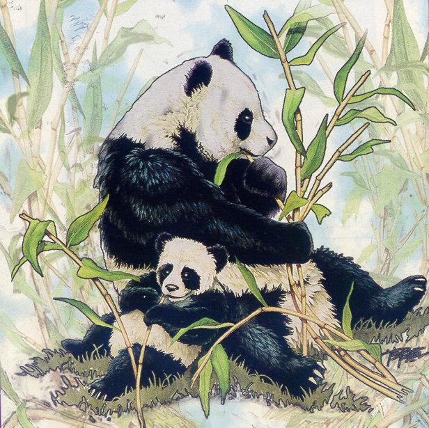 lj Tim Pinkston Panda.jpg