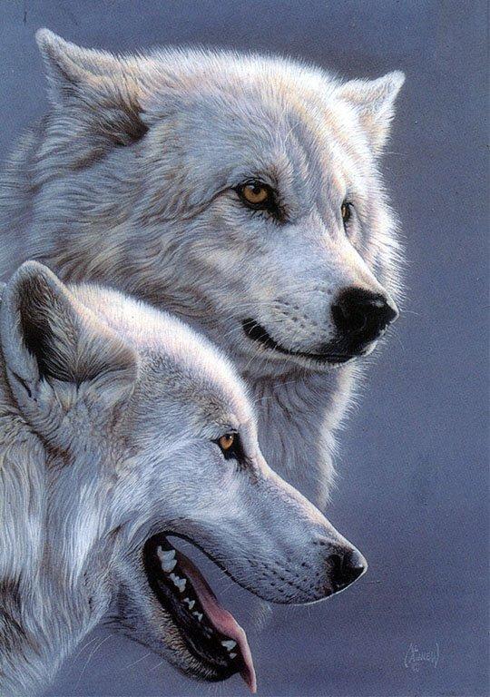 wolves-Arctic Wolf-pair-Painting.jpg