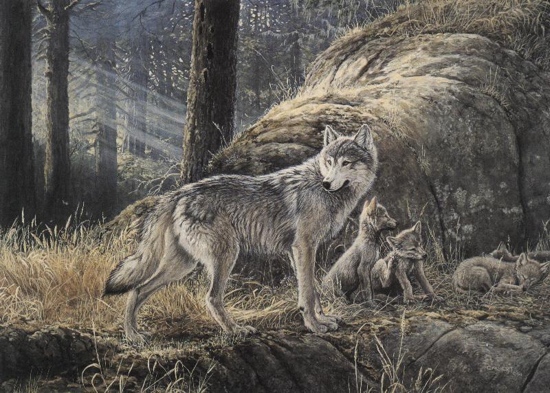 gray wolf mom with sleepy pups-painting.jpg