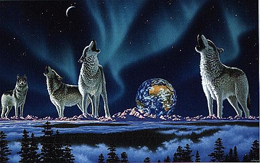 illust-howling Wolves-earthsng.jpg