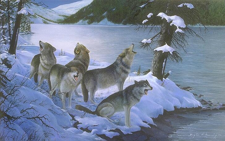 Painting-Gray Wolf Pack-Howling-By the lake.jpg