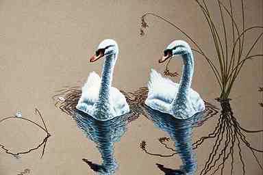 Bird Painting-Mute Swans-pair-floating on water.jpg