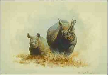 Nosh rning-Black Rhinoceroses-mom and young-painting.jpg
