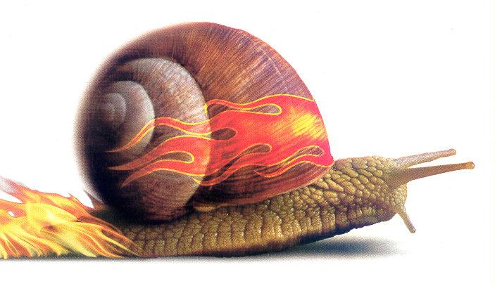 lj Speed Racer Snail.jpg