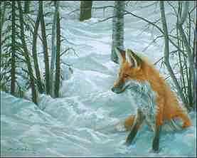 R v1-Red Fox-sitting in snow forest-painting.jpg
