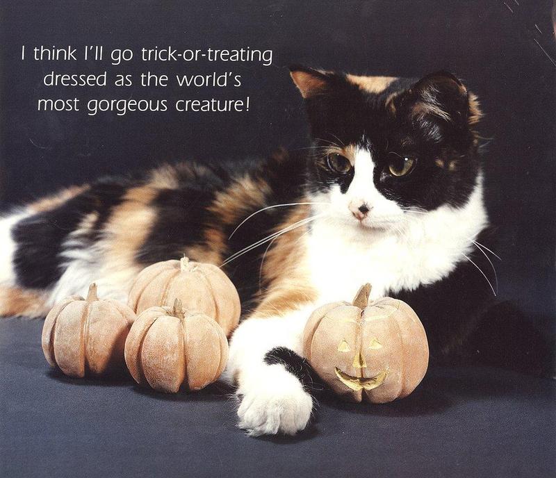 10-Oct-AG-The Cats Meow Calendar 1991 graylady.jpg
