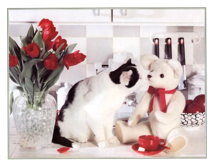 KsW-Feb99-House Cat Kitten-with Teddy Bear.jpg