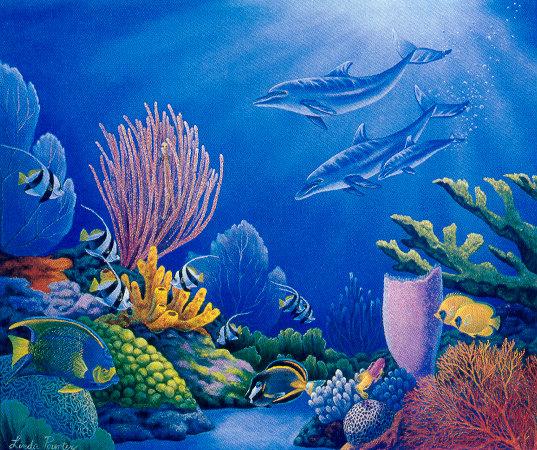 lj Linda A. Poynter Dolphin Reef.jpg