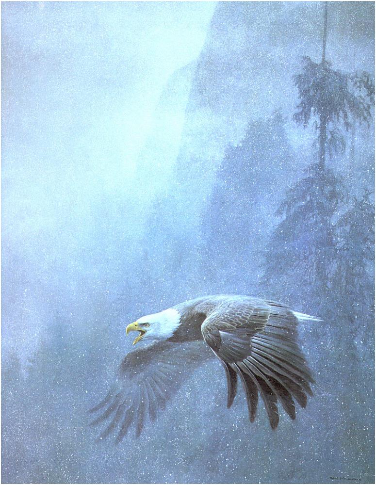 Bateman - Vigilance-Bald Eagle 1993 zw.jpg