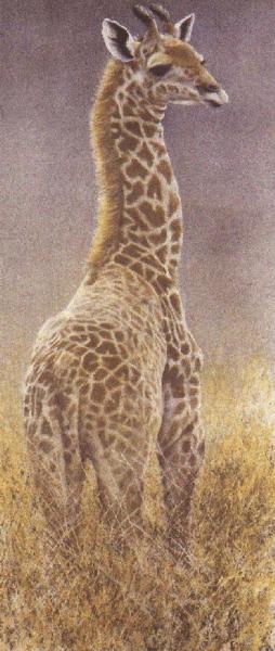 rbr17-Giraffe-standing in bush-painting.jpg
