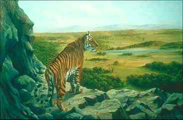 Tiger-standing on rocky hill-painting.jpg