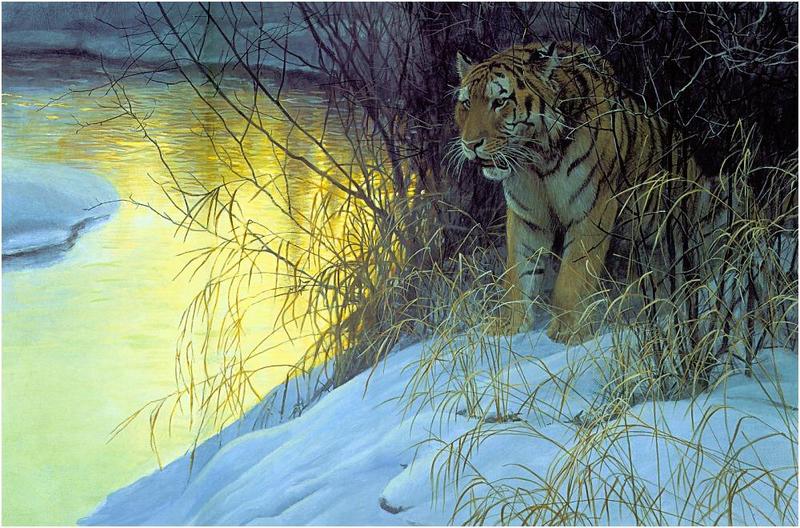 Bateman - Siberian Tiger 1991 zw.jpg