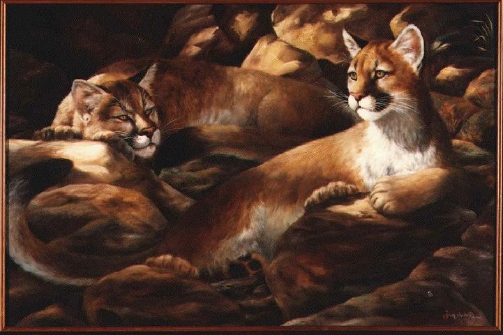 Puma02Large Color-resting pair-painting.jpg