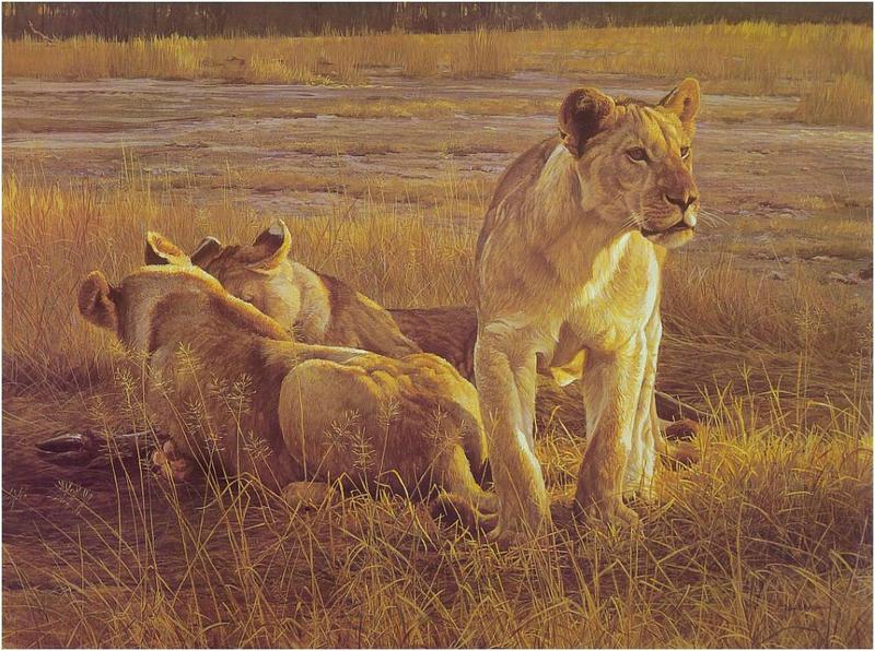 Bateman - Lions Feeding at Dawn 1975 zw.jpg