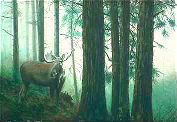  lg-Moose-in deep forest mist-painting.jpg